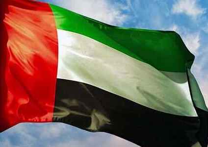 Logo des Boxers de Bordeaux Bulldof de couleur gris avec un collier rouge en train de mordre le mot 